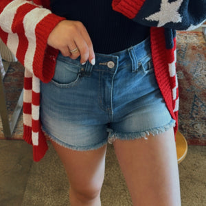 Any other Day Mid Rise Frayed Him Denim Shorts