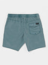 Center Trunk 17 SVB