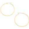 Gold Hoops In Box
