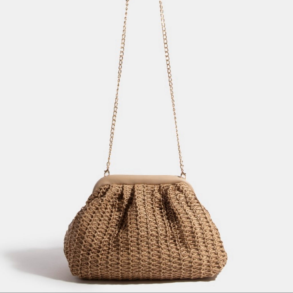 Straw Braided Mesh Hand Bag