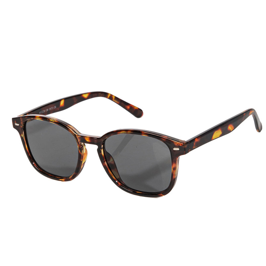 Wayfarer Sunglasses Tortoise Black